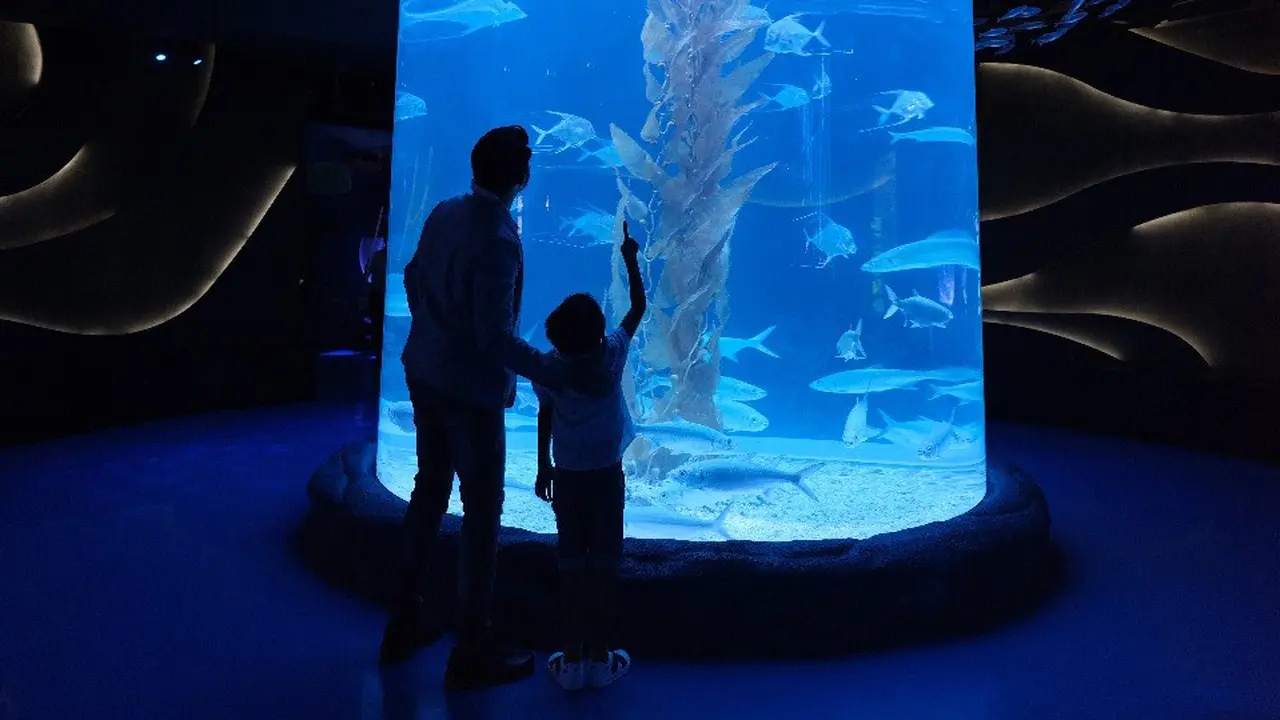 Aquarium Jakarta