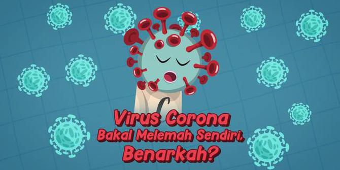 VIDEO: Benarkah Virus Corona Lama Kelamaan akan Melemah Sendiri?
