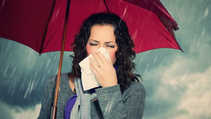 Foto: copyright vemale.com