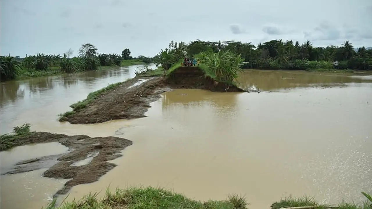 Tanggul kali bentas nyebabna desa-desa neng Kebumen kebanjiren. (Foto: Liputan6.com/Istimewa)