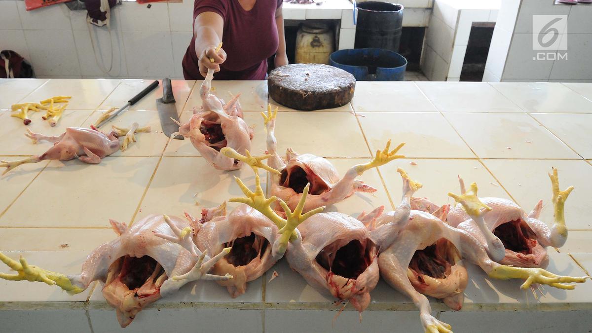 Waspada Ayam Gelonggongan, Ini Ciri-cirinya