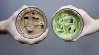 Ilustrasi Minuman Matcha (kanan). Foto: Dok. William Sutanto