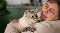 7 Common Mistakes Many Cat Owners Made