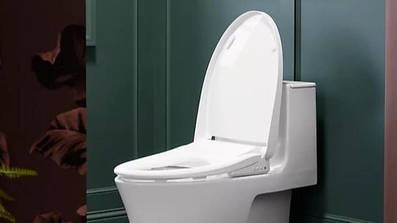 Bau Toilet Enggak Hilang Meski Sudah Bersih? Ternyata Ini Biangnya, Bisa Diatasi dengan Biaya Murah