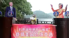 Seekor monyet mengenakan kaos bertuliskan "Raja Prediksi" duduk di antara foto calon presiden AS Donald Trump dan Hillary Clinton saat berusaha memprediksi hasil Pilpres AS 2016, di Changsha, Provinsi Hunan, China, Kamis (3/11). (REUTERS/Stringer)
