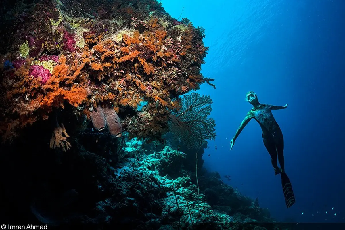 [Bintang] Wakatobi