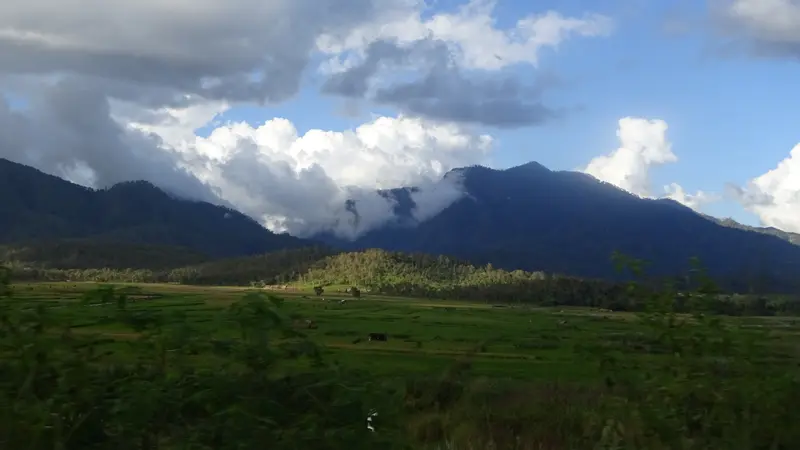 Fakta menarik Gunung Dola Koyakoya di Nusa Tenggara Timur