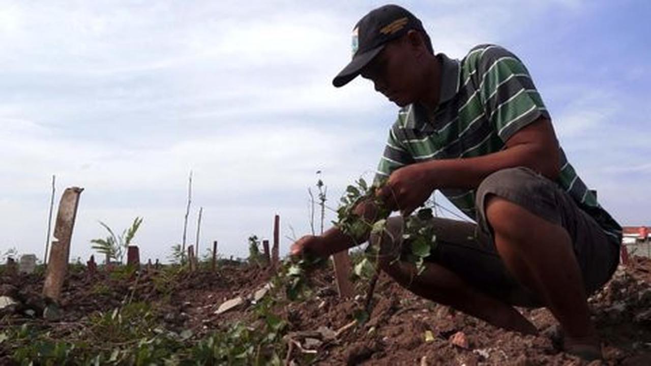 Nasib tunawan setelah pindah alam