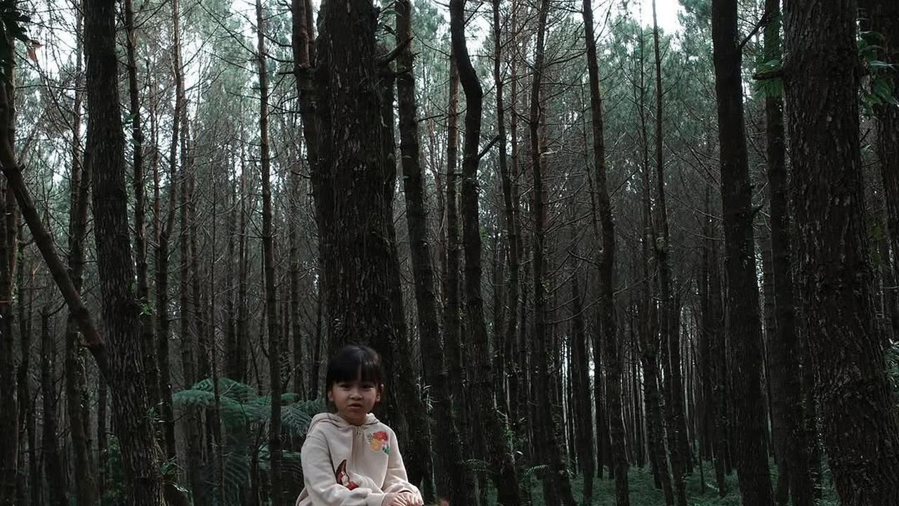 7 Potret Syahnaz Sadiqah Dan Jeje Govinda Ajak Anak Camping, Si Kembar Juga Asyik Berkuda