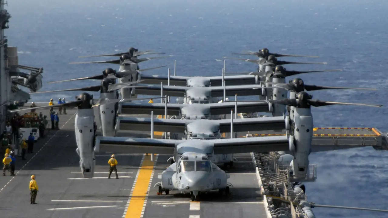 osprey