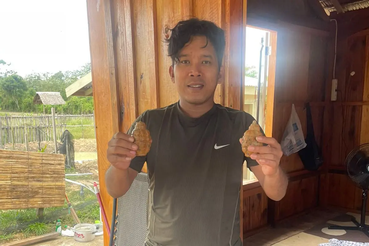 Seorang petani di Konawe Selatan menemukan granat nanas dalam empang, awalnya mengira batu berharga,(Liputan6.com/Ahmad Akbar Fua)