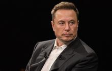 Datang ke Bali, Momen Elon Musk Diduga Curiga dengan Burung yang Terbang di Sekelilingnya Jadi Sorotan