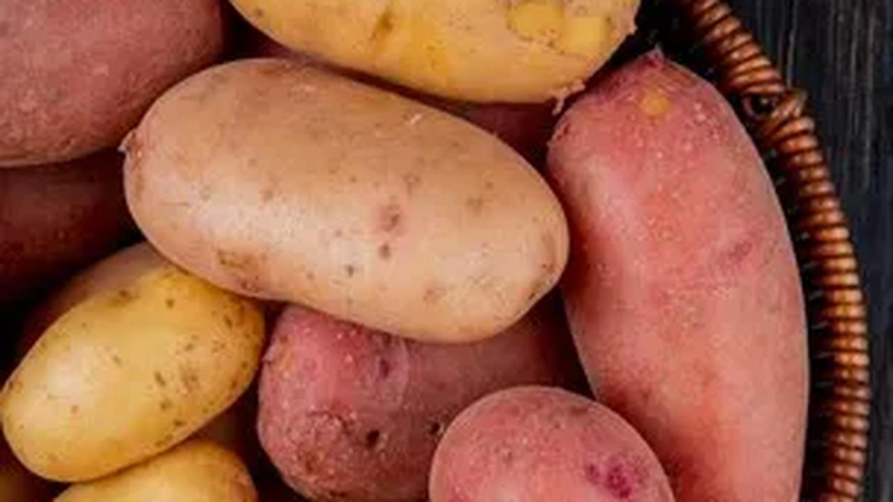 Perbandingan Nutrisi Kentang dan Ubi Jalar