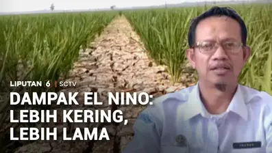 Kekeringan di musim kemarau kali ini cukup ekstrem karena fenomena El Nino. Tak hanya mengganggu pasokan air, fenomena El Nino juga berdampak pada kualitas udara.
