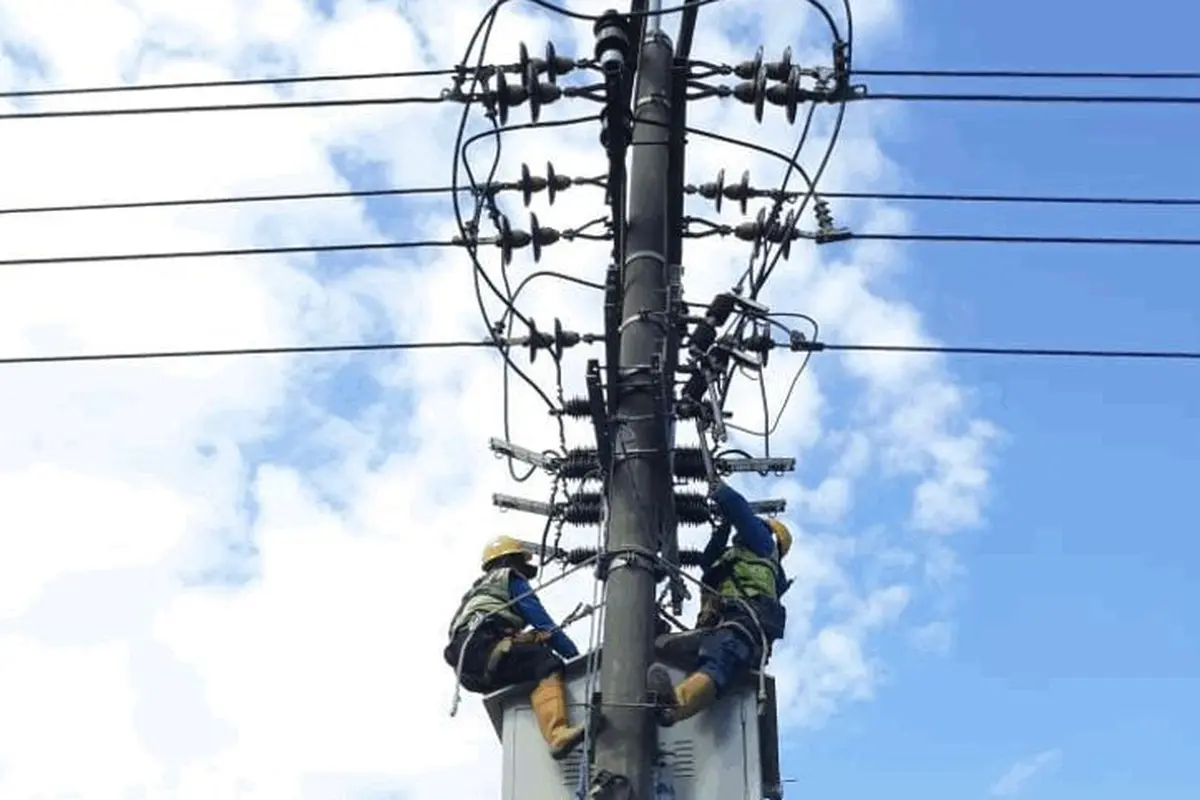 PLN