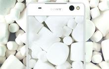 Ini deretan smartphone Sony yang dapat update Android 6.0