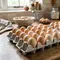 5 Fungsi Egg Tray dan Alasan Telur Sebaiknya Disimpan dalam Kemasan Aslinya