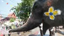 Seekor gajah menyemprotkan air dalam perayaan festival air Songkran di provinsi Ayutthaya, utara Bangkok, Thailand, (11/4). Selama perayaan Songkran, warga melakukan perang air di jalanan dan di tempat umum. (AP Photo/Sakchai Lalit)