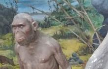 Homo Sapiens Adalah Spesies Manusia Purba, Simak Ciri-cirinya