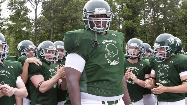 The Blind Side (2009)