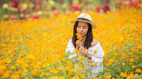 Beautiful quotes about spring. (Photo: jcomp/Freepik)