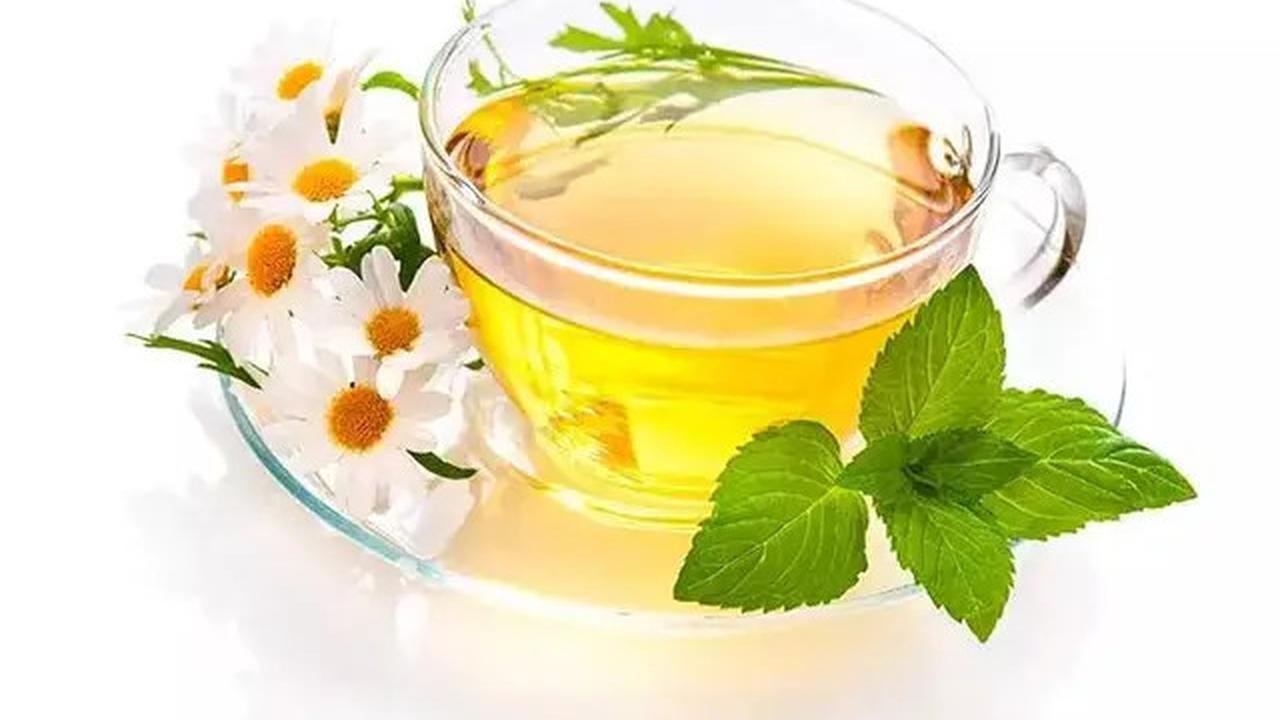 Khasiat Rebusan Daun Sirsak, Dari Menurunkan Asam Urat hingga Diabetes