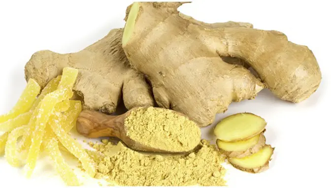 Foto: copyright thinkstockphotos.com