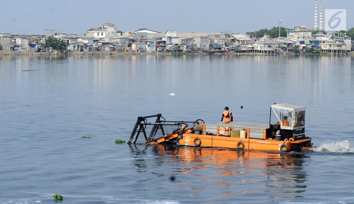 Petugas menggunakan perahu membersihkan sisa tanaman eceng gondok di Waduk Pluit, Jakarta, Jumat (19/5). Pemprov DKI Jakarta terus melakukan pengerukan dan pembersihan Waduk Pluit. (Liputan6.com/Helmi Fithriansyah)