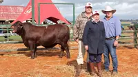 Andrew Bassingthwaighte dan keluarganya mencetak rekor baru saat menjual sapi jantan yang mencapai seperempat juta dolar.(Supplied: Andrew Bassingthwaighte)