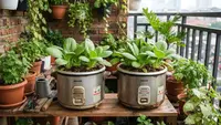 8 Ide Magic Com Rusak untuk Pot Sayur, Cara Kreatif Memanfaatkan Barang Tak Terpakai