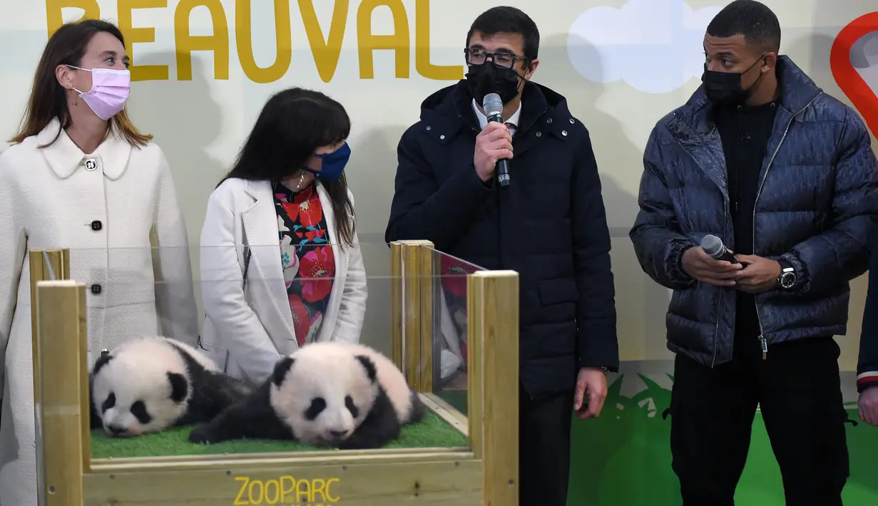 Mbappe mengaku sangat senang dan terhormat bisa menjadi bapak baptis Yuandudu dan Huanlili. Juara Piala Dunia 2018 itu menekankan pentingnya melindungi spesies panda yang terancam punah. (AFP/Guillaume Souvant)
