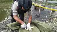 Polisi memusnahkan ranjau anti tank aktif sisa PD II yang ditemukan penambang pasir di Kebumen. (Foto: Liputan6.com/Polres Kebumen/Muhamad Ridlo)