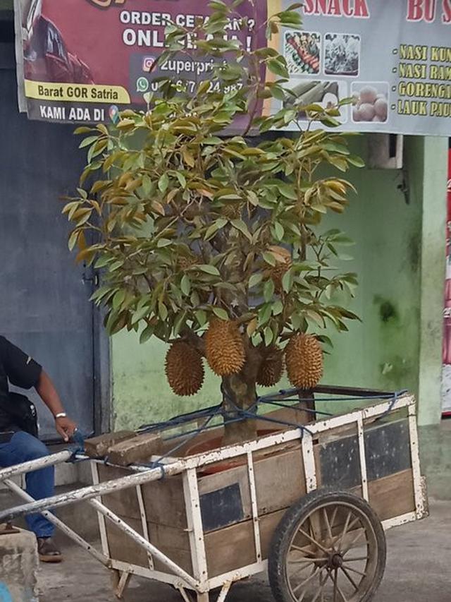 6 Cara Unik Orang Jualan Buah Ini Anti-mainstream, Nyeleneh Banget