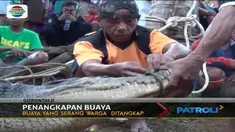 Buaya muara betina tersebut mengancam keselamatan warga yang berada di pesisir Pantai Tomilito.