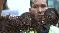 15 Fakta Ekstrim Tentang Jakarta