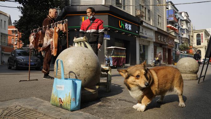 Seekor anjing beristirahat saat penduduk berdiri di dekat daging yang digantung untuk dikeringkan di Wuhan, China, Jumat (15/1/2021). Selain masker, orang-orang menjalani kehidupan sehari-hari mereka seperti sebelumnya di Wuhan, tempat pertama kali virus corona terdeteksi. (AP Photo/Ng Han Guan)