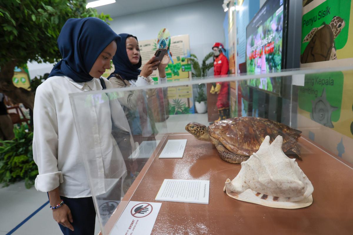 Mengenal Kekayaan Hutan Lewat Pameran Gratis di Stasiun MRT Bundaran HI