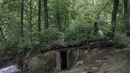 short desc
