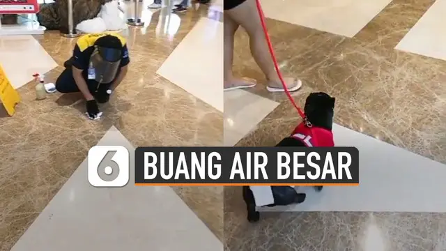 Beredar video anjing peliharaan buang air besar di lantai sebuah mall.