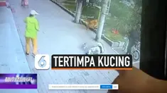 KUCING JATUH