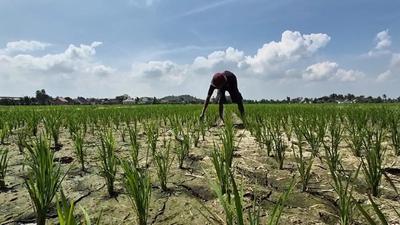 BMKG Ungkap Prakiraan Musim Hujan Lampung 2026/2027