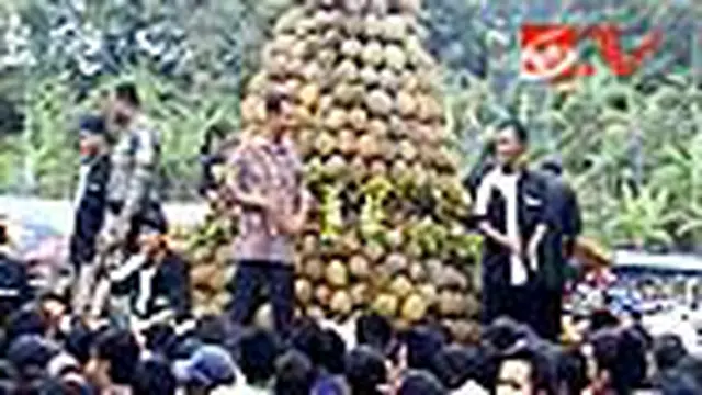 Warga Wonosalam Gelar Pesta Durian