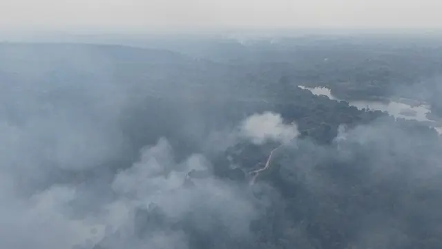 1000 Hektare Lahan Terbakar dalam 24 Jam di Riau, 29 Tersangka Pembakaran Ditangkap dalam Sepekan