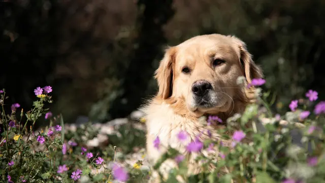 Mendorong Tubuh untuk Lebih Aktif Bergerak