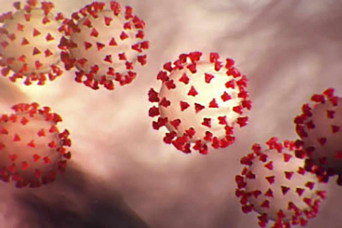 Gambar ilustrasi Virus Corona COVID-19 ini diperoleh pada 27 Februari 2020 dengan izin dari Centers For Desease Control And Prevention (CDC). (AFP)