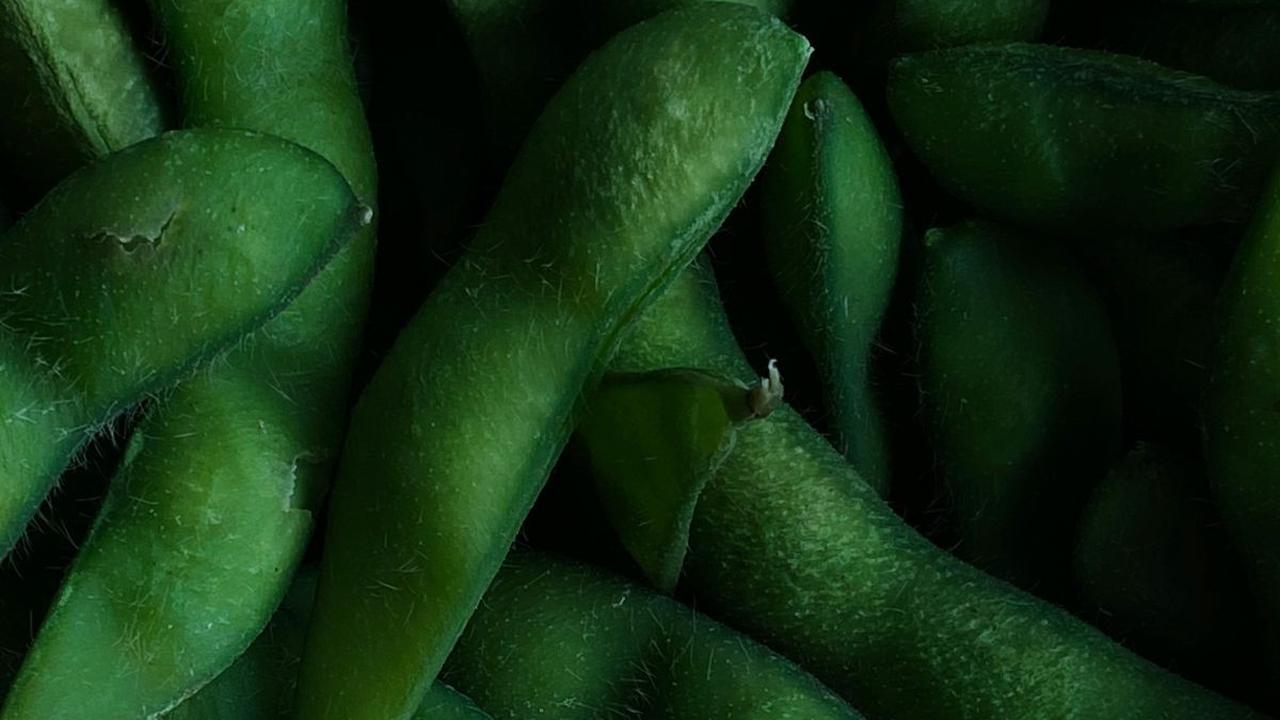 Manfaat Kedelai untuk Kesehatan Cocok untuk Kontrol Berat Badan