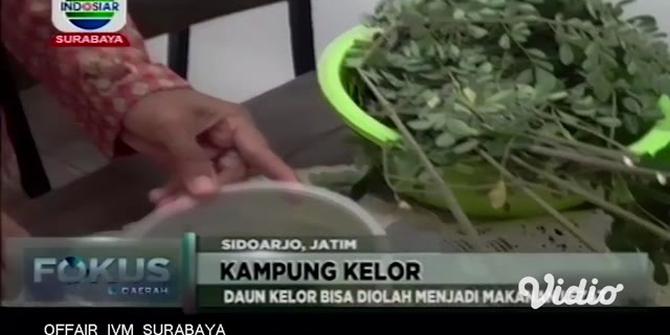 VIDEO: Aneka Olahan Daun Kelor dari Warga di Kampung Kelor Sidoarjo