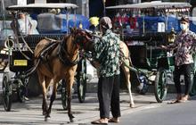 Ini Tren Baru Wisatawan yang Datang Berlibur ke Yogyakarta