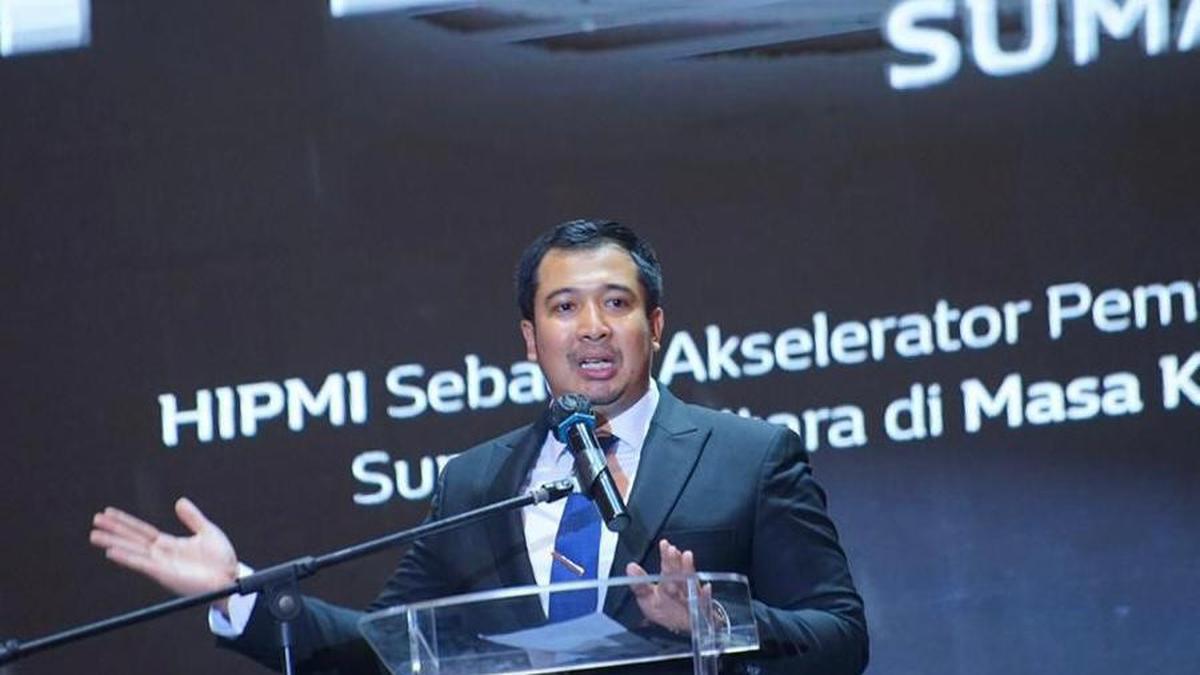 Profil Ade Jona, Politikus Gerindra yang Kini Pimpin Hipmi