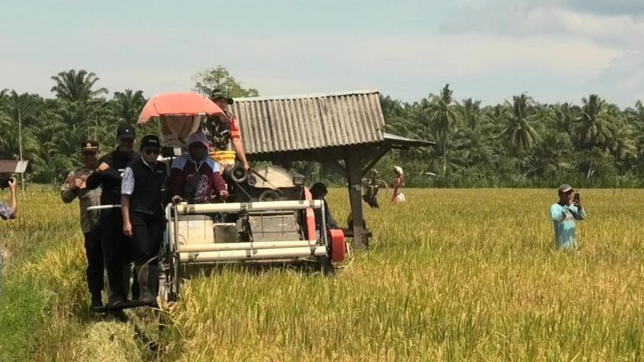 Tahukah Anda? Pasaman Barat Terima Ton Bantuan Kementan untuk Swasembada Pangan